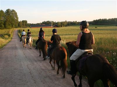 People riding on horses on a small road.