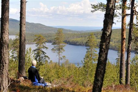  A person sits in the forest and enjoys beautiful views of a lake.
