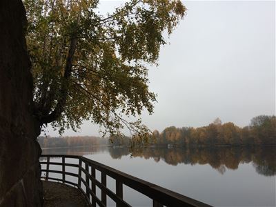 View over misty lake.