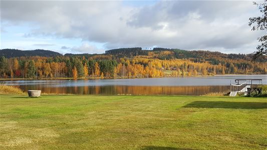 Utsikt över skog och sjö under hösten.