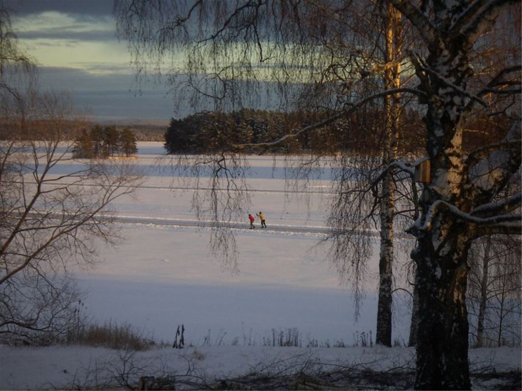 Vinterutsikt med skridskoåkare på sjön.