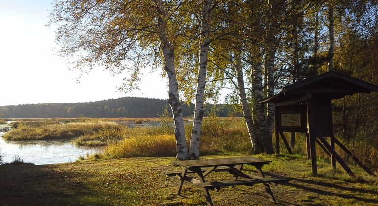 Ålsjön natural preserve