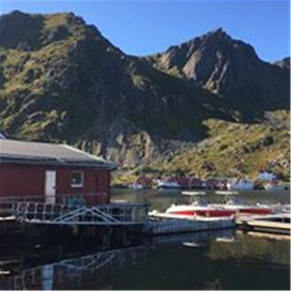  Overnatting rorbuer - Hemmingodden Lodge på Ballstad i Lofoten 