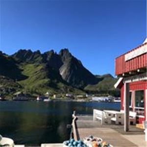  Overnatting rorbuer - Hemmingodden Lodge på Ballstad i Lofoten