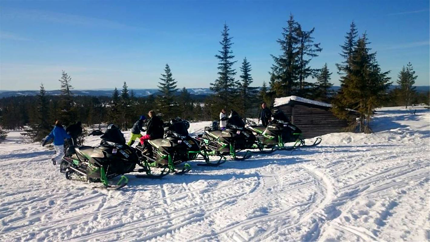 Snowmobiles with trees in the background