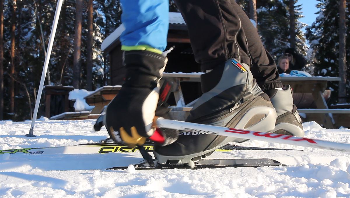 Längdskidåkning image 1