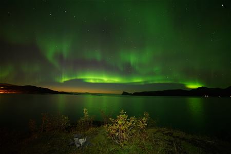 Nordlys over kystlandskap