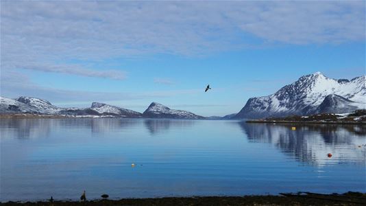 Klart hav med fjell i bakgrunnen