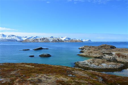 svaberg og hav med snødekte fjell i horisonten
