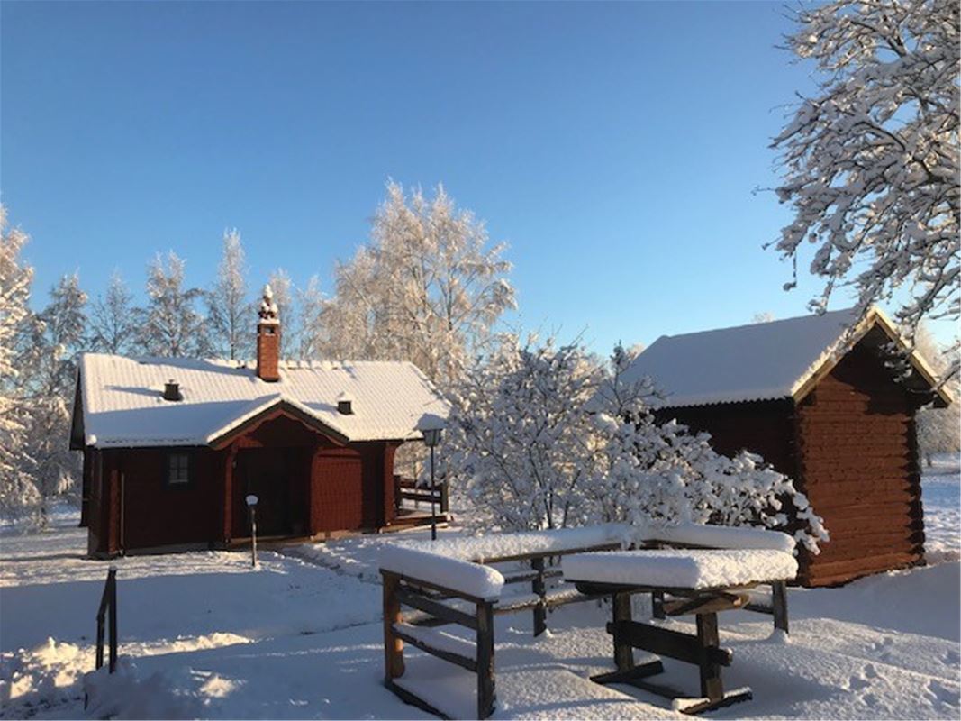 Two timber cottages in a snow covered garden. 
