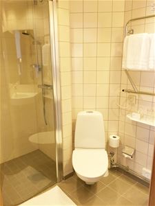 Shower and a toilet.