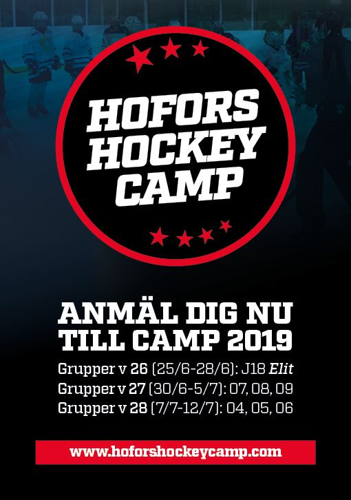Hofors Hockey Camp