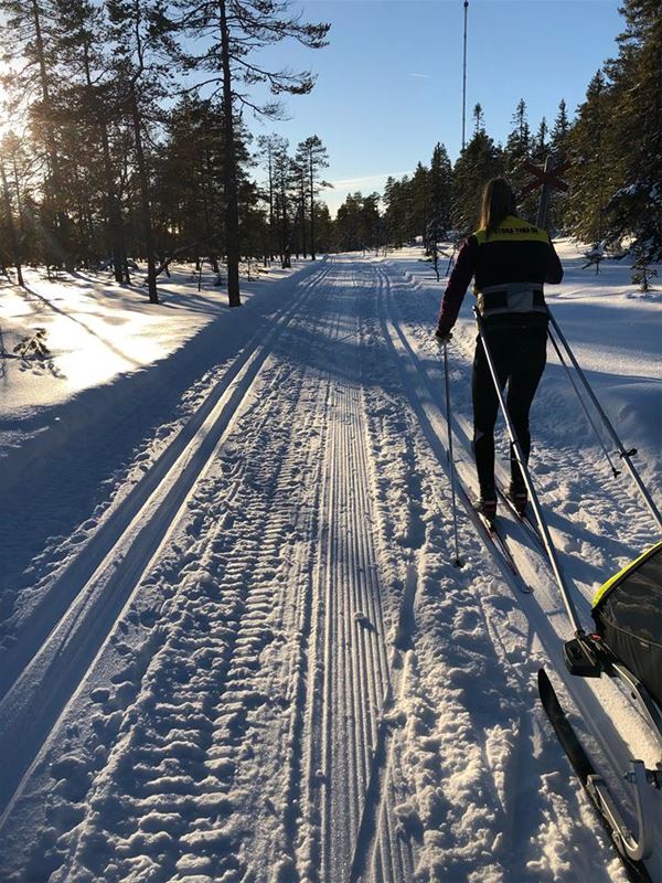 A cross-country skier with a sled.