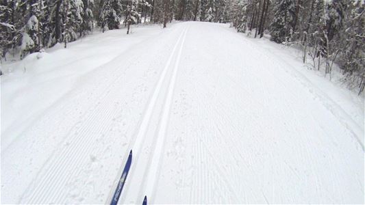 Skiing tracks where the tip of a couple of blue skies are visible.