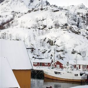 Nusfjord Arctic Resort