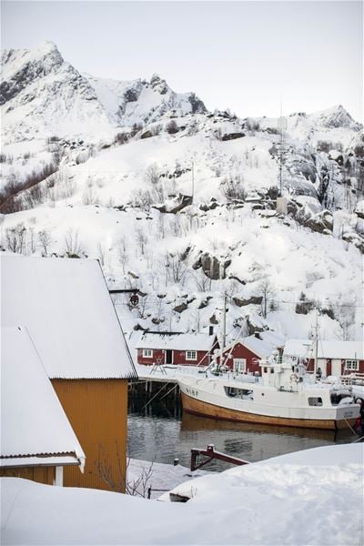 Nusfjord Arctic Resort 