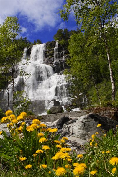 Tvindefossen Waterfall