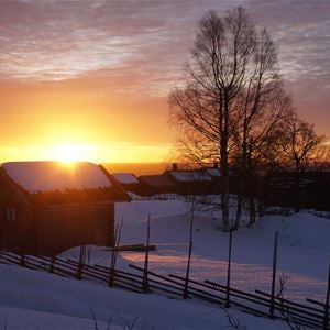 Härbre och gärdesgård i solnedgång en vinterdag.