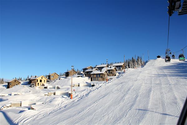 Alpine ski race for kids