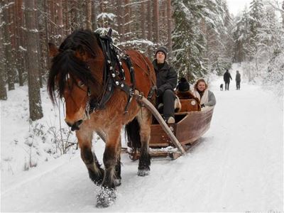 Horse with sleigh.