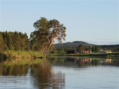 The river Västerdalälven with red house in the background.