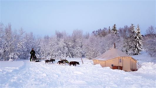 Dog sled and tent in a snowy landscape