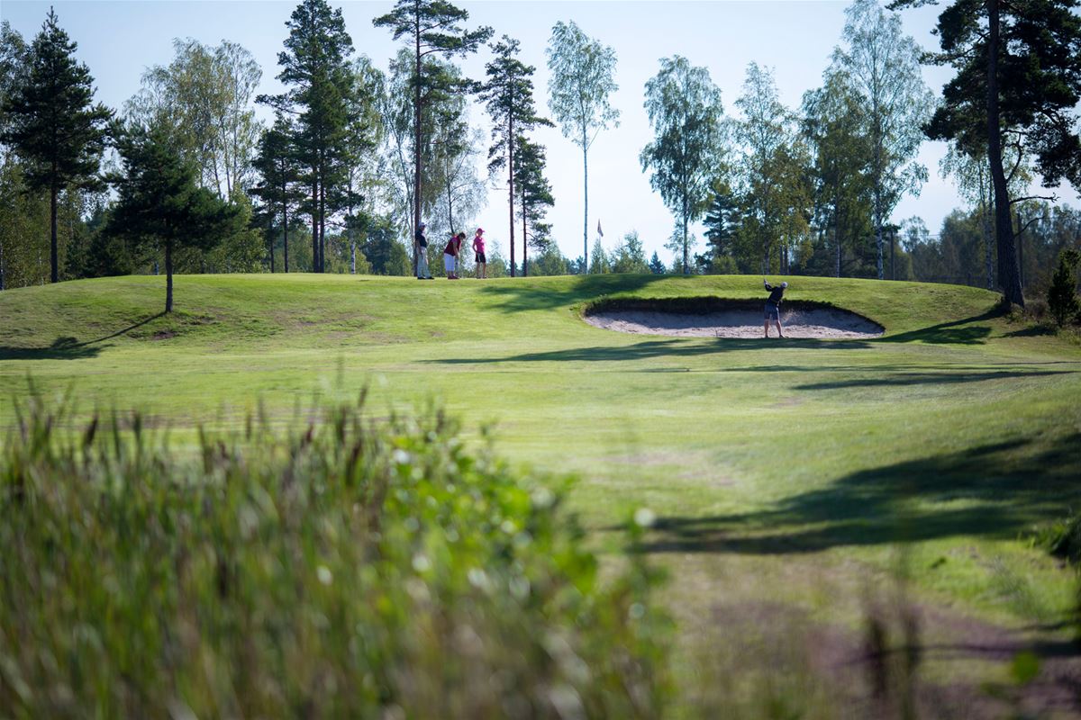 Eckerö Golf image 1