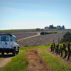 Excursión al corazón de AOP Languedoc Saint Christol, visita y degustación de Vign'O vins