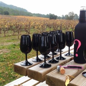 Excursion au cœur de l’AOP Languedoc Saint Christol, visite et dégustations avec Vign'O vins