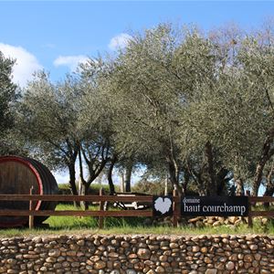 Excursion to the heart of AOP Languedoc Saint Christol, visit and tasting with Vign'O vins
