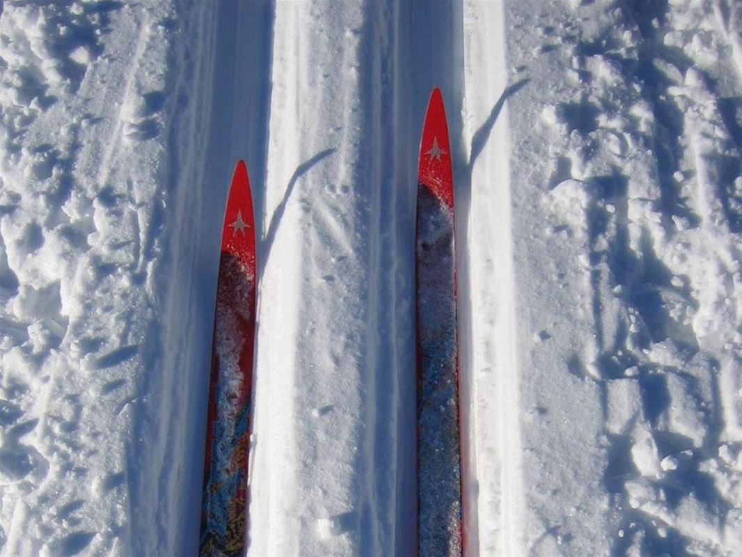 Röda skidspetsar i längdspår.