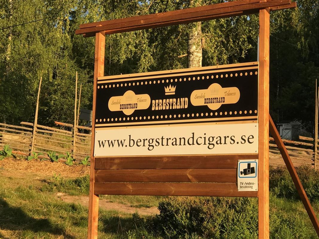 Skylt bergstrandcigars.se