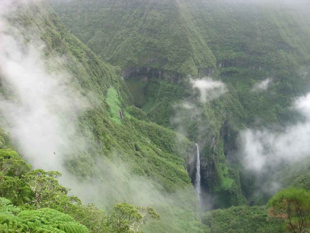 Randonnée Trou De Fer Depuis Hell Bourg Randonnée Bélouve - Trou de Fer, Randonnée, Aventure