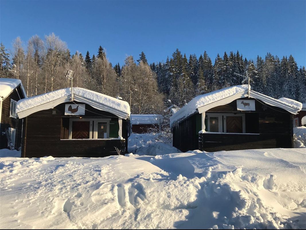 Cottages in winter landscape.