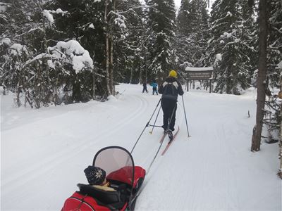 En person på skidor drar ett barn i pulka. 