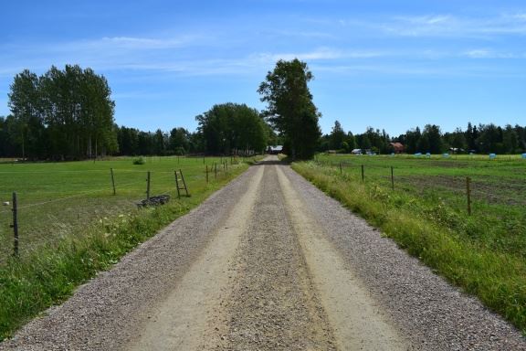Stackbo Islandshästar