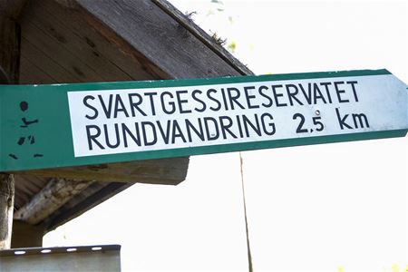 Skylt med text Svartgessireservatet rundvandring 2,5 km.
