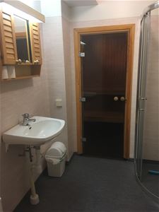 Bathroom with entrance to sauna.