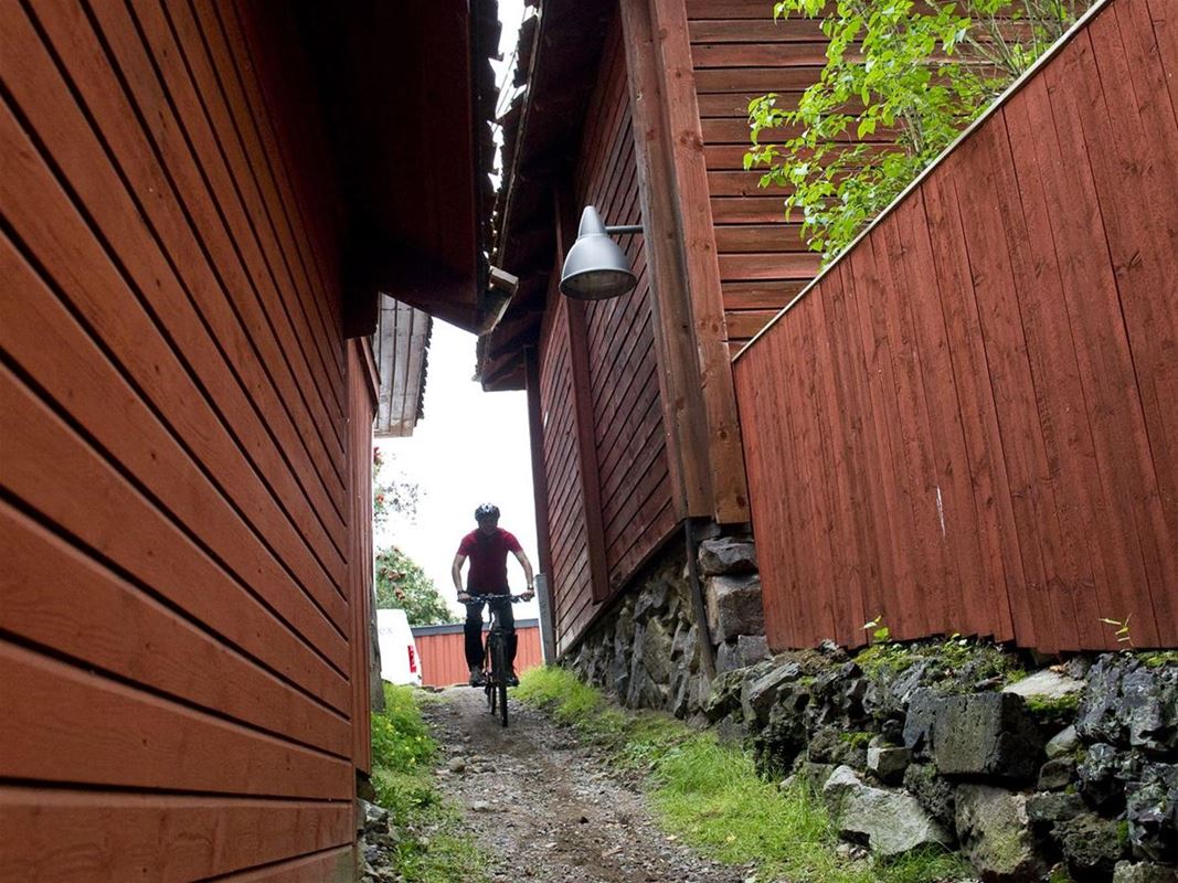 En cyklist som cykler i en smal gränd, röda äldre träbyggnader på båda sidor om gränden.