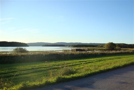 View over lake.