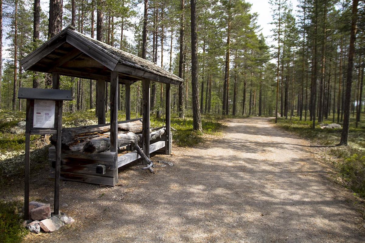 Grusväg i skogen vid Lomkällan