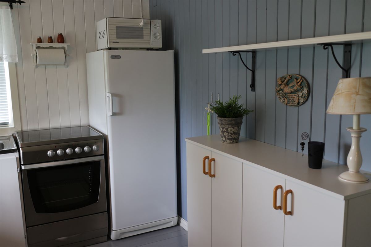 The kitchen with an electric stove and a fridge.