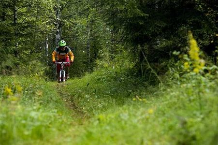 En cyklist ute i skogen.