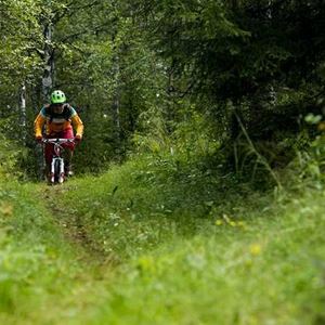  © www.klappen.se, En cyklist ute i skogen.