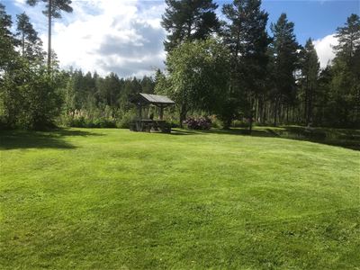 Picnic table on a large lawn in front of the trees. 