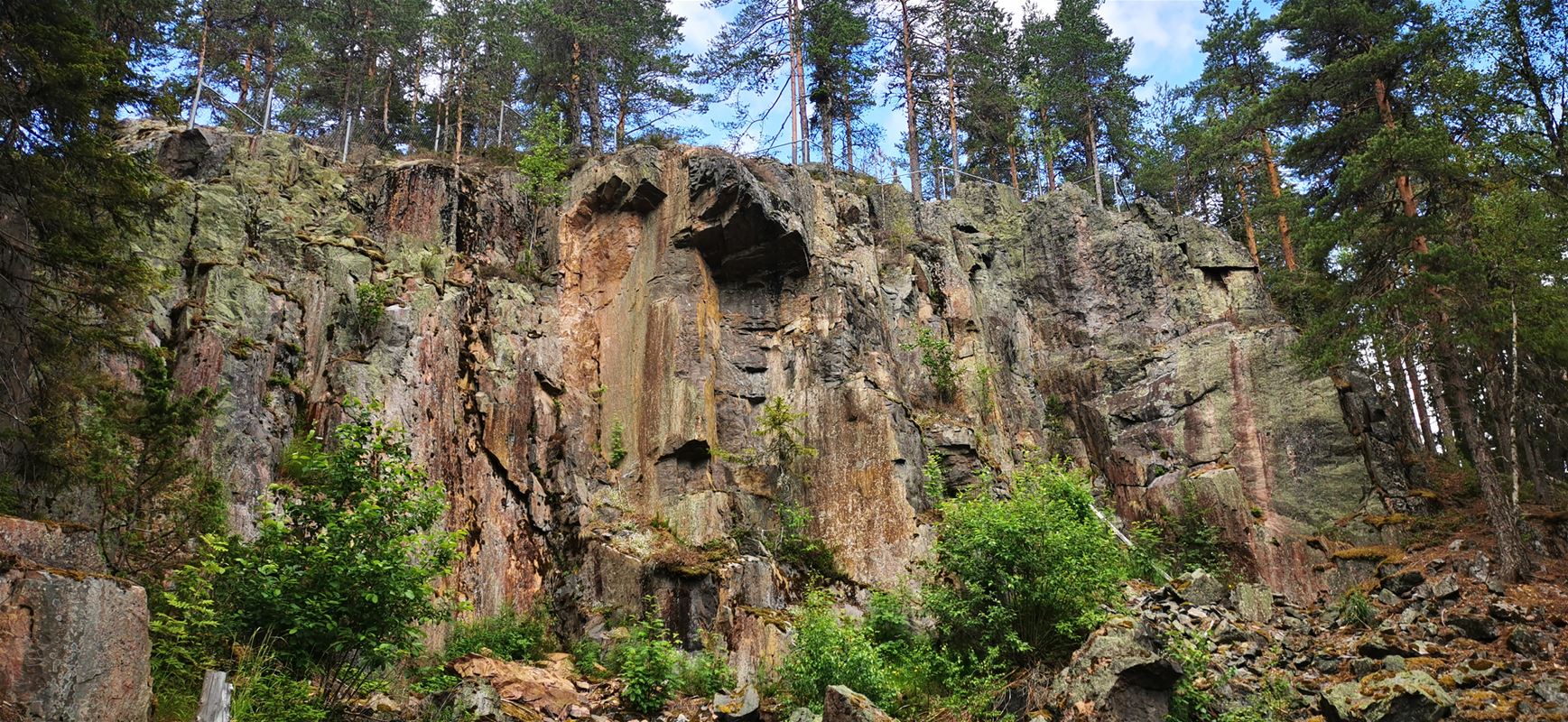 Cliff in forest.