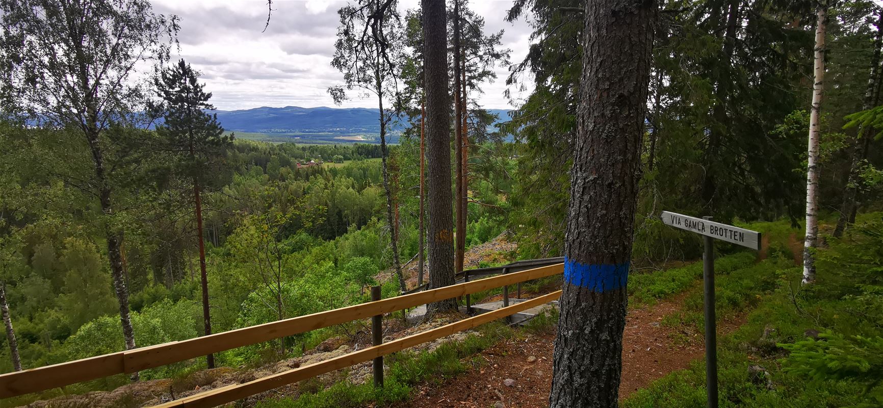 Skylt över vandringsled och blå markering på trädstam.