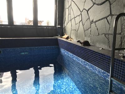 Poolen vid relaxavdelningen.