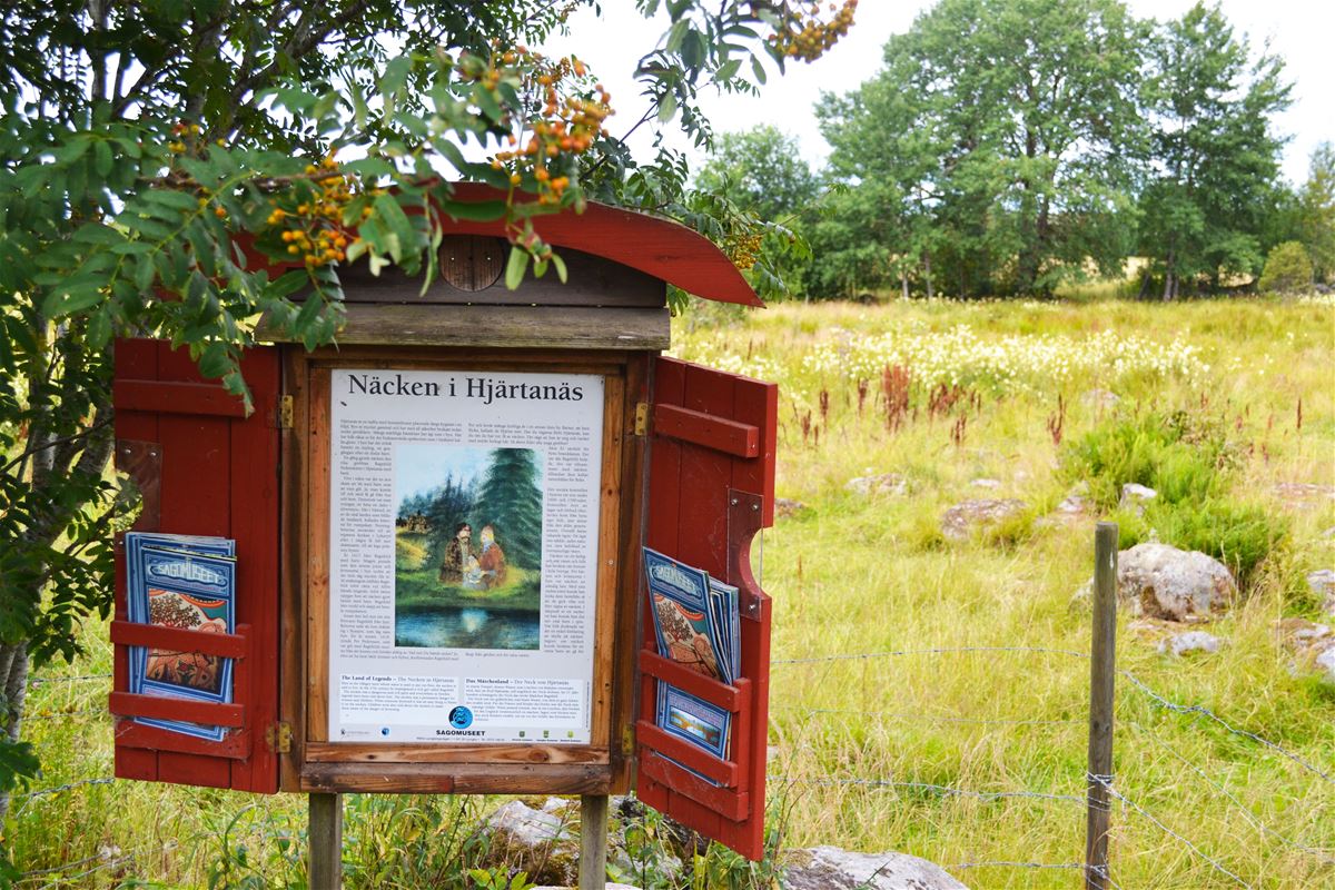 Sägenplats - Näcken i Hjärtanäs image 1