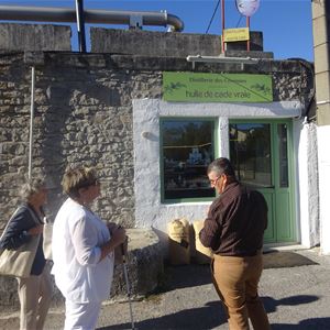 Escapada gastronómica en región del Pic Saint-Loup con Belle Tourisme
